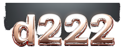 d222 logo